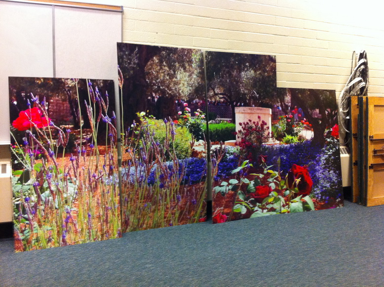 Canvas Prints St. Albert